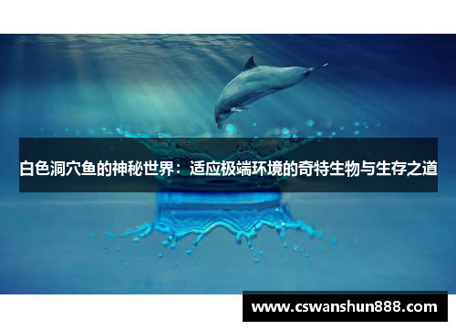 白色洞穴鱼的神秘世界：适应极端环境的奇特生物与生存之道